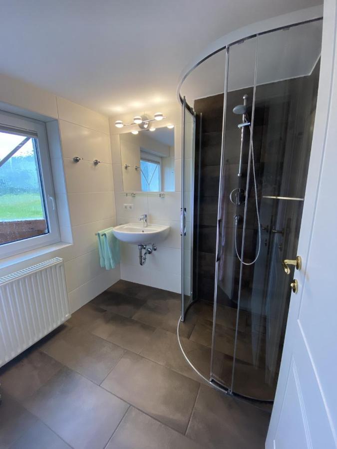 Haus Meneweger Lejlighed Flachau Eksteriør billede